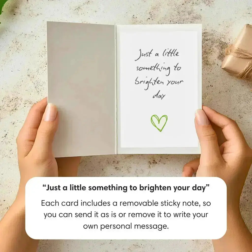 Rosy-Radiance-PetalPal