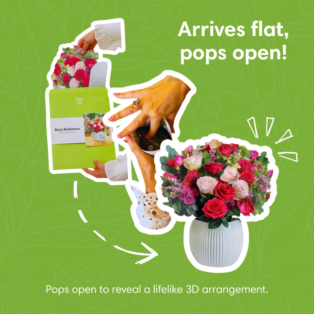 Rosy Radiance PetalPal