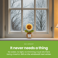 It-never-needs-a-thing-[pl:2f758baf68cc]