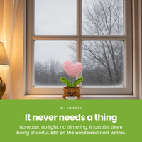 It-never-needs-a-thing-[pl:47824cc029f9]