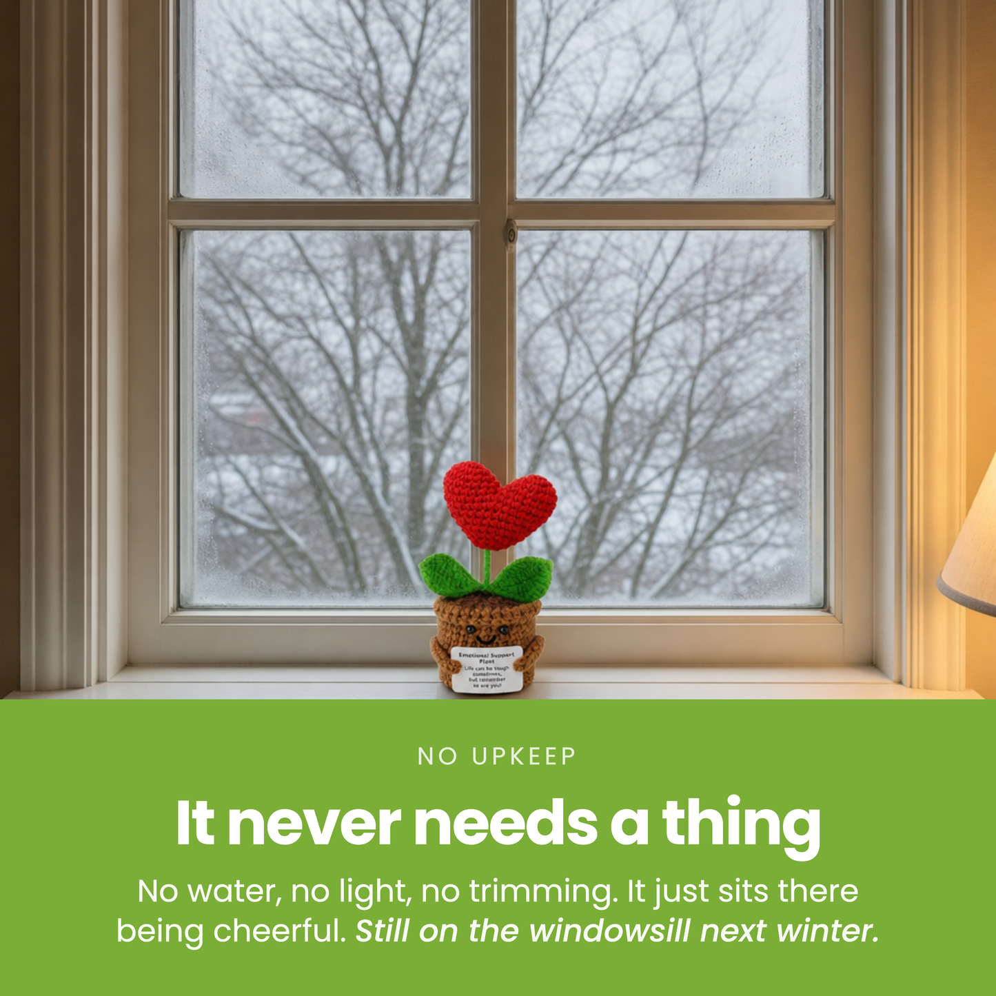 It never needs a thing [pl:f51763e0b2e7]