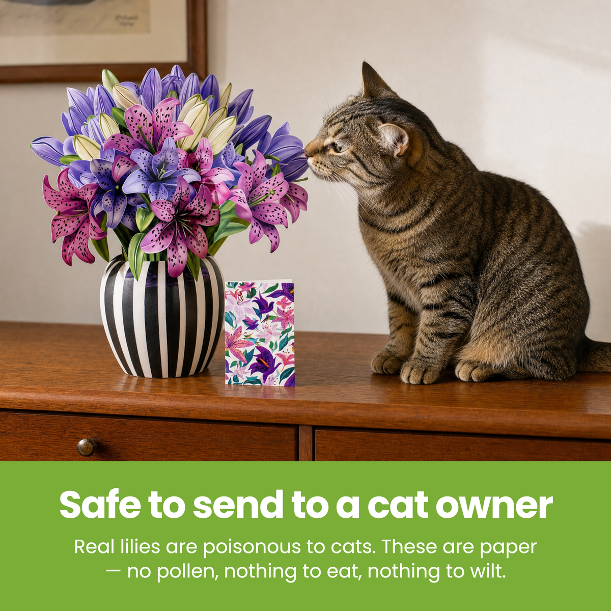Safe-to-send-to-a-cat-owner-[pl:8edc07535a1b]
