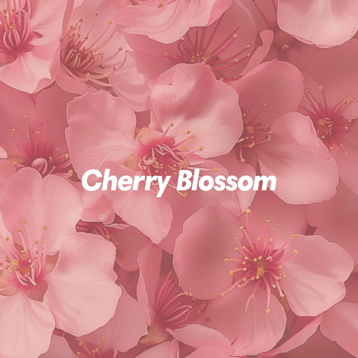 Cherry Blossom Aroma Diffuser PetalPal