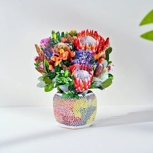 Mini-Kakadu-Embrace-PetalPal