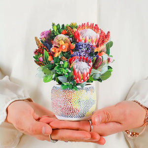 Mini-Kakadu-Embrace-PetalPal